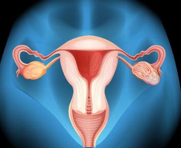 为什么会胚胎停育，我应该如何才能容易试管婴儿好孕