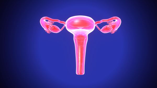 严重卵巢早衰做试管婴儿还能成功吗