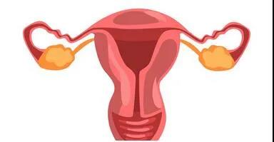 子宫肌瘤难生育还能进行试管助孕吗